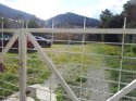 0_2785035_22344.jpg